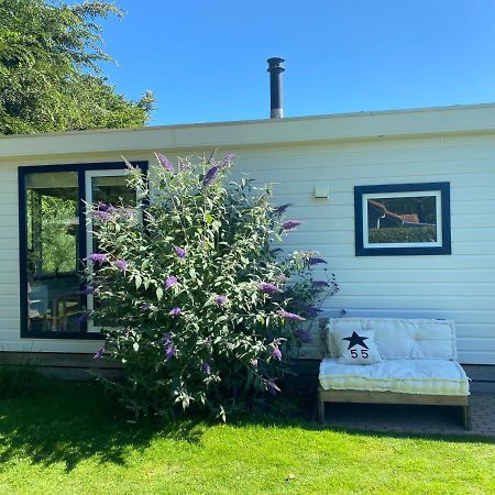 Chalet Zwin & Zee Cadzand-Retranchement Eksteriør billede